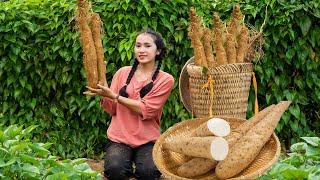 Linh Đan's Farm Life: Harvesting Wild Yam, Market Day & Animal Care 