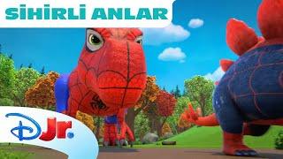 Dino-Ağlar  | Marvel Spidey ve İnanılmaz Arkadaşları | Disney Kids Türkiye