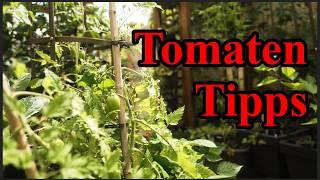 Wie Tomaten...? | Tomaten Tipps