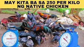 May kita ba sa 250 per kilo ng native chicken?