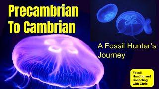 Precambrian to Cambrian A Fossil Hunter's Journey Fossil Hunting and Fossil Collecting with Chris