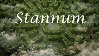 Stannum metallicum - Zinn - Wenn das innere Kind seinem Weg nicht trauen kann - Seelenhomöopathie