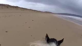 Portnoo, Co. Donegal, Ireland. Horseback riding. Long gallop.