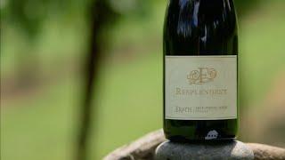 Erath “Resplendent” Pinot Noir