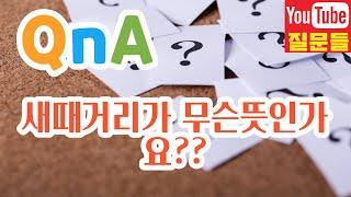 새때거리가 무슨뜻인가요??