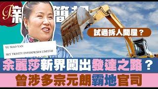 余麗莎新界闖出發達之路？｜曾涉多宗元朗霸地官司｜試過拆人間屋？掀拆屋頂 危及屋內一對母子的安全