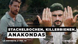 Killer-Bienen, Stachelrochen und Anakondas... | La Movidita | Teil 2 | WILDLINGZ