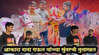 मुंबई मध्ये धुमाकूळ घालतोय आकाश दादा राऊत यांचा सुंदर️ #sundar #bailgadasharyat #bailgada