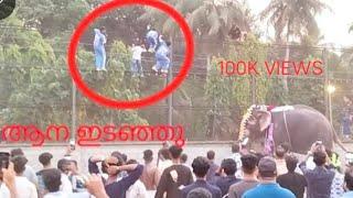| elephant attack in Kerala 2024|ആന വിരണ്ടോടി പരുവകുന്ന് FEST 2024 അടിയെ തുടർന്നുള്ള സംഘർഷത്തിൽ 