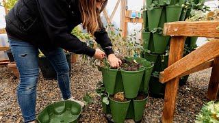 Growing Greens, Herbs & Small Root Crops Inside During Winter! 🪴 // Garden Answer