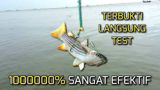 Membuat Rangkaian pancing ikan BELANAK | Mullet Fishing | Efektif & Anti Kusut