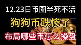 12.23日币圈半死不活！狗狗币跌惨了！布局哪些币以及怎么操盘？