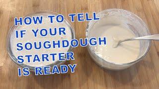 How to tell if your Sourdough Starter is Ready to Bake