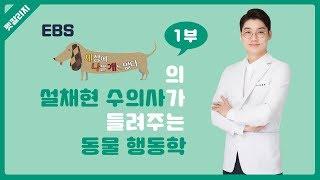 설채현 수의사의 동물행동학 1/4  - 펫칼리지 2차 공개강의