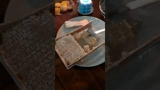 МЕД В СОТАХ - РАЙСКОЕ НАСЛАЖДЕНИЕ #bee #apiary #мёд #beekeeper #honey #пчеловодство