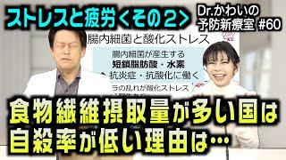 【ストレスと疲労】その２ 食物繊維摂取がストレス解消につながる？｜2025/03/03｜060Dr.かわいの予防新療室〜優しい医療のかたち〜【シャナナＴＶ】