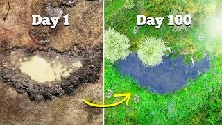 I Built a Wildlife Pond (6-Month Transformation)