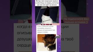 Мемасик из тик тока #memes #мемы #mem #мемасизтиктока #мемасики #мем #мемыизтиктока #смех #мемный