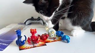 Don’t let cats go near Bakugan