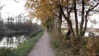 Autumn bike ride in Holland