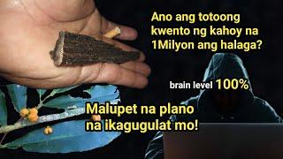 Ang UTAK sa Likod ng Lapnisan