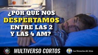  ¿Por Qué Nos Despertamos Entre las 2 y las 4 am?  