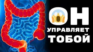 ТОБОЙ КТО-ТО УПРАВЛЯЕТ