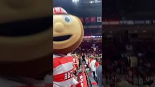 Brutus up close Ohio State 2024 Men’s college basketball Youngstown State #collegebasketball live