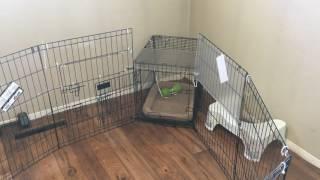 Puppy Play Pen