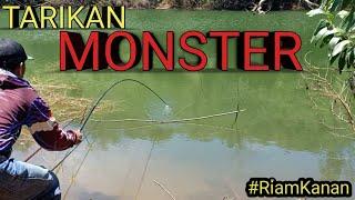 Mancing Nila Babon Riam Kanan || Tarikan Monster nila