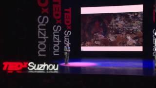 EXPERIMENTAL ANIMATION SAGYA: Xiaotao Zhang at TEDxSuzhou