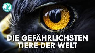 2+ Stunden einzigartige Tiere Doku zum Einschlafen | Earth Stories Deutschland