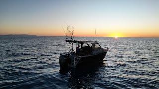 Seaking North Qld Boat Range | Aluminium Plate Boats