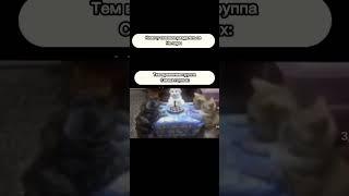 Мем #видео #subscribe #смех #мем