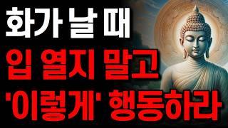 화가 날 때 말하지 말고 ‘이 방법’을 써라 I 현명한 사람들이 함부로 화를 내지 않는 이유 I 잠 잘 때 듣는 명언 I 부처님 말씀 I 인생 지혜 I 오디오북