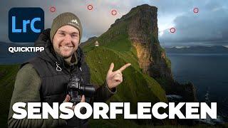 Sensorflecken erkennen und entfernen! | 1 Minute Lightroom