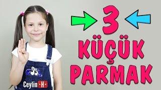 Ceylin-H | " Üç Küçük Parmak " Çocuk Şarkısı