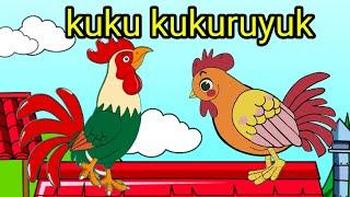 kukuruyuk | lagu anak anak ~ ayam berkokok ~ animasi ayam lucu dan lainnya