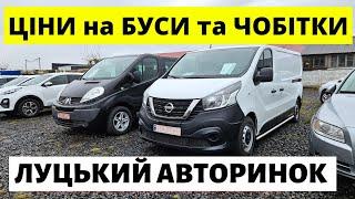 СВІЖІ ЦІНИ НА БУСИ ТА ЧОБІТКИ / ЛУЦЬКИЙ АВТОРИНОК / 23.01.25р #автобазар  #автопідбір #буси