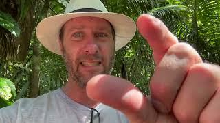 Yachana Foundation - Visiting a Permaculture Project in the Jungle