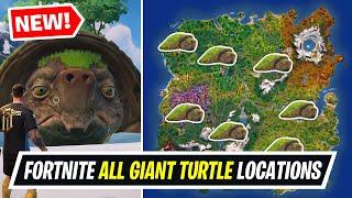 How to EASILY Find the Giant Turtle in Fortnite - Where to Find The Giant Turtle All Locations