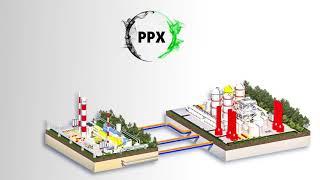 Extended Business Model of PGNiG Group