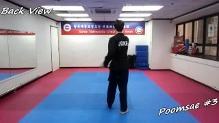 Taekwondo - Poomsae 3 (Sam Jang) Slow-motion & Mirror