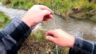 How to catch a rainbow trout in 3 seconds