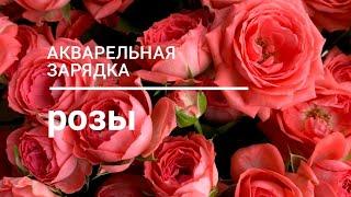 Акварельная Зарядка