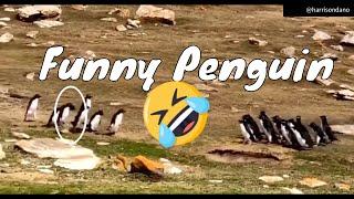 Funny Confused Penguin Went With The Wrong Group