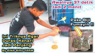 Cara Menambah Durasi Kenari Agar Ngerol Panjang Real 2 Menit By AINA BIRD FARM