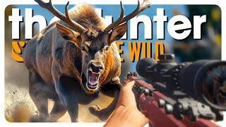 DESTROYING Australia's DEER population (ᵒⁿᵉ  ᵃᵗ ᵃ ᵗⁱᵐᵉ) | theHunter: Call of the Wild