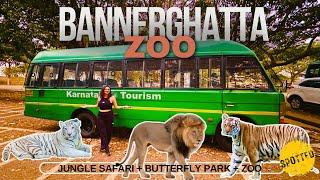 Spotted Roaring Lion @ Bannerghatta Biological Park | Jungle Safari | Butterfly Park | Bangalore Zoo