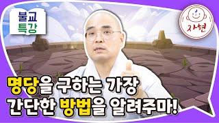 명당을 구하는 가장 간단한 방법을 알려주마! - 불교특강_짤막영상
